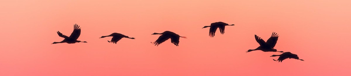 How to Avoid&nbsp;Burnout