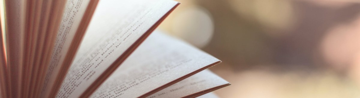 Announcing “Becoming a Public Interest&nbsp;Lawyer”